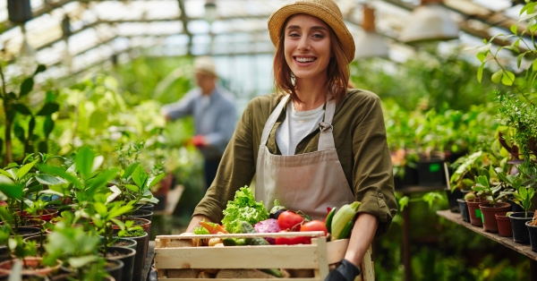 עתיד החקלאות האורבנית מדוע איכות המצע חשובה יותר מכמות המים